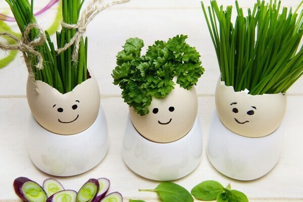 Diet and Wellbeing - for Pre-Diabetic and Diabetic Patients